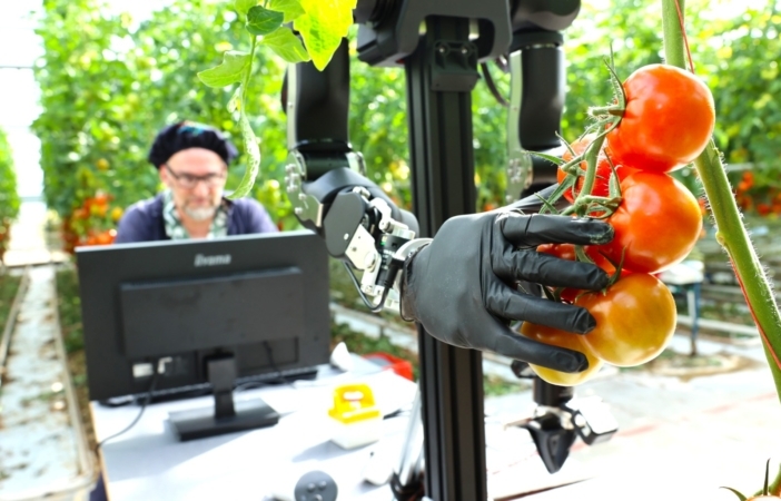 Delft and Westland once again the strongest ecosystem for entrepreneurship