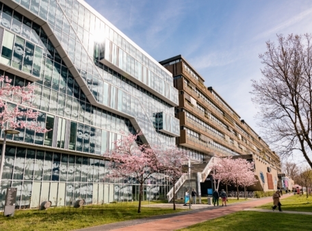 Development programme for building 23